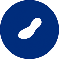 Supportive Footbed Shape